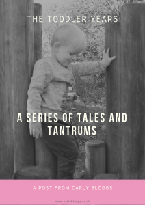 The Toddler Years - A Series Of Tales And Tantrums