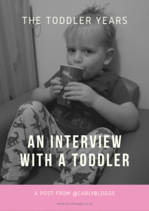 The Toddler Years - An Interview With A Toddler