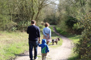 One Perfect Week - A man, toddler and older girl with backs to the camera walking down a dirt track walking a brown dog