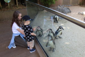 Frugal family days out - two children playing with penguins through a glass barrier