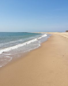 Golden beach and blue sea with a clear blue sky