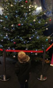 Cinderella at the Mercury Theatre - Little Man looking up at a Christmas tree with his back to the camera